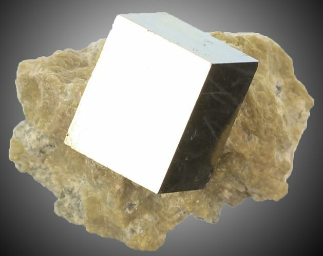 mm Pyrite Cube on Matrix - Navajun, Spain #30985